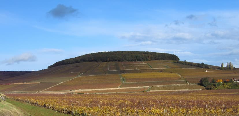 Vue de la côte de aloxe corton