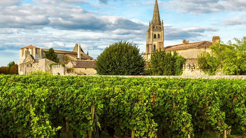Vue de la côte de chalon sur saone,givry,chagny,montagny,buxy,bouzeron