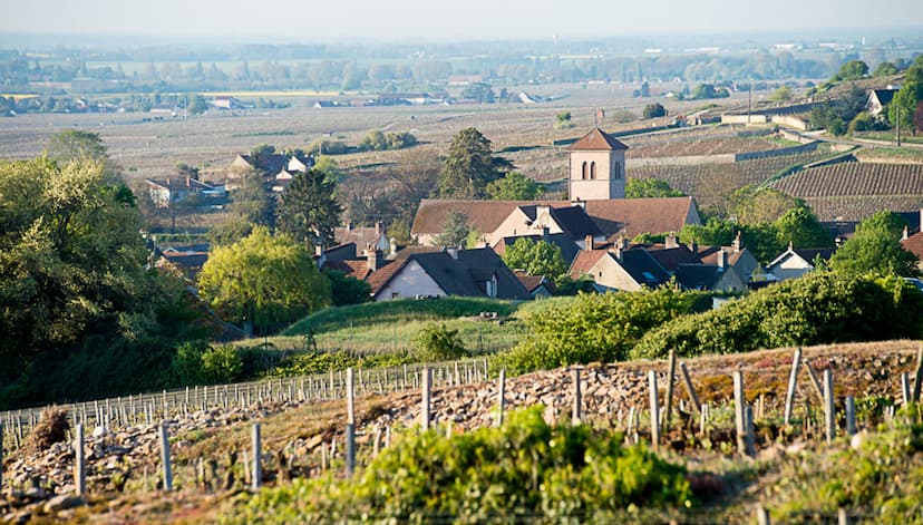 Vue de la côte de gevrey chambertin