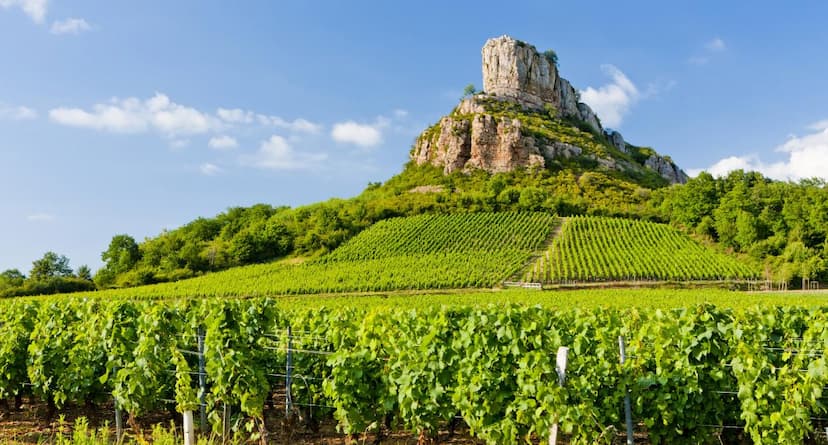 Vue de la côte de macon,saint-veran,solutre,pouilly,pouilly fuisse,fuissé,loche,vinzelles,prisse,clessé,vire,cluny,tournus,pierreclos