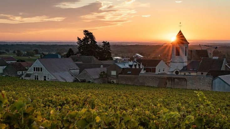 Vue de la côte de morey saint denis