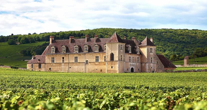 Vue de la côte de marsannay,couchey,fixin,brochon,vougeot,gilly les citeaux,premeaux prissey,comblanchien,corgoloin,magny les villers,villars fontaine,nuits saint georges