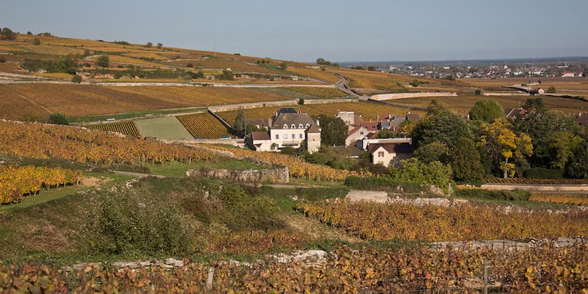 Vue de la côte de pommard