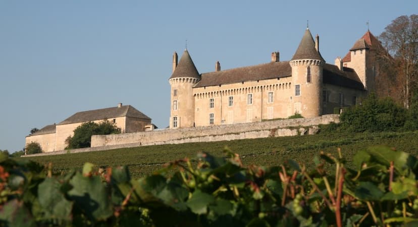 Vue de la côte de rully