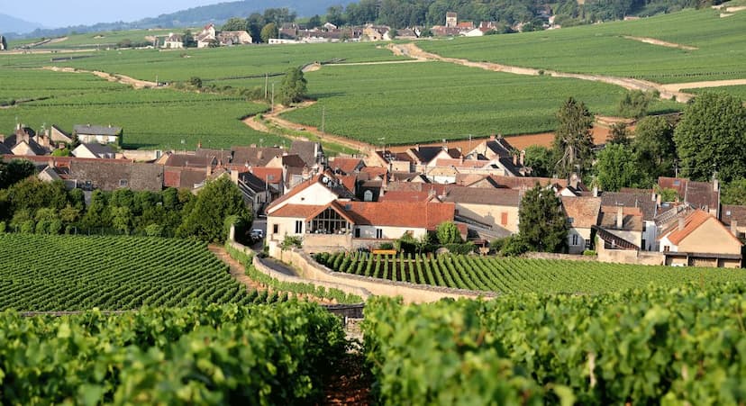 Vue de la côte de volnay