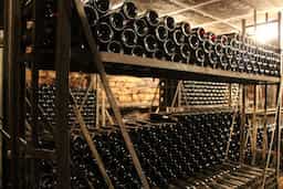 Domaine Besancenot logo